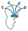 logo chemin des dames.png